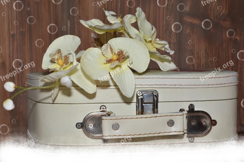 Luggage Orchid Medal Flower Wood