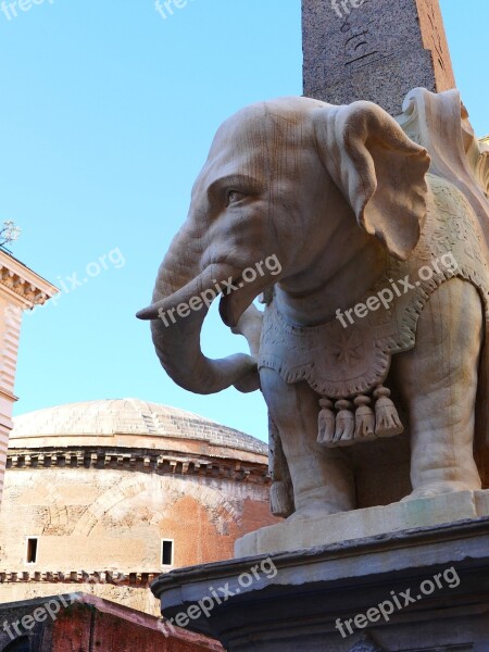 Elephant Bernini Rome Proboscis Sculpture