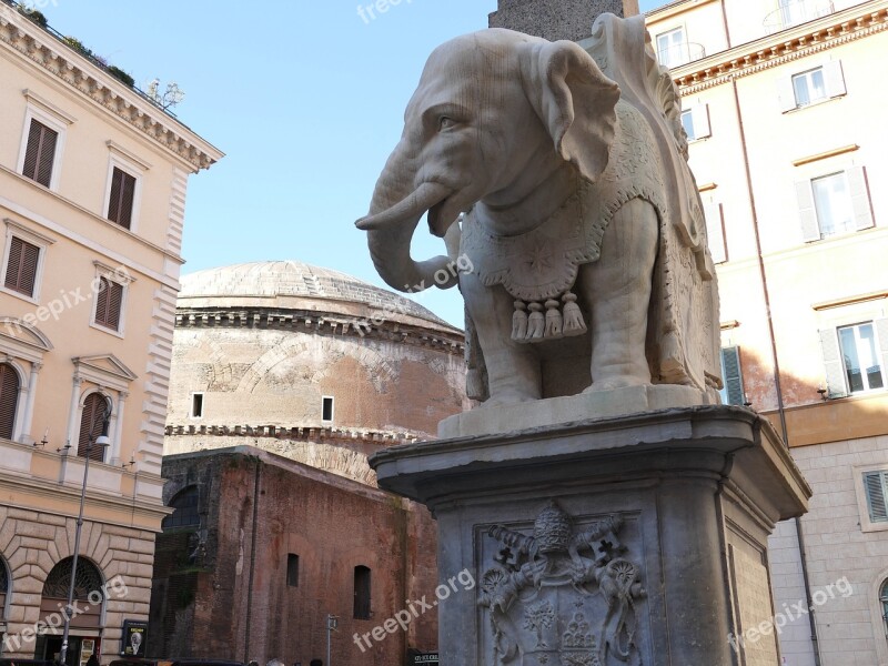 Elephant Bernini Rome Proboscis Sculpture