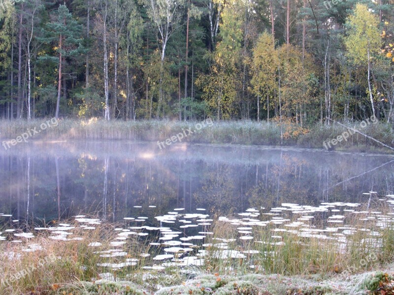 Tarn Lake Mist Autumn Atmosphere