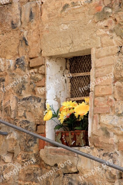 Flowers Window Old Town Old Picturesque Flower Box