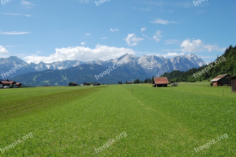 Alpine Summer Meadow Nature Bavaria