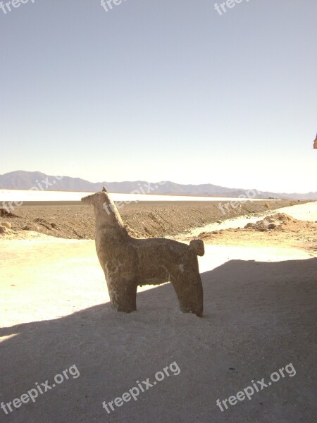 Salinas Sculpture North Argentina Travel