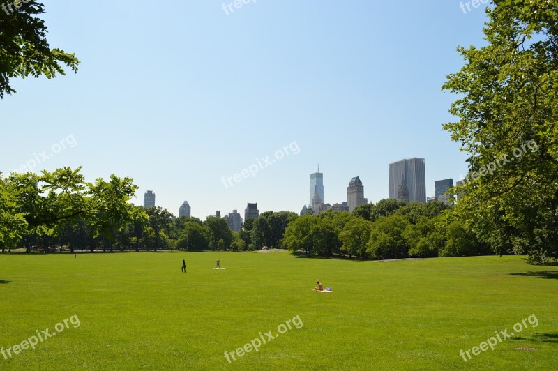 Grass Central Park Park New York Free Photos