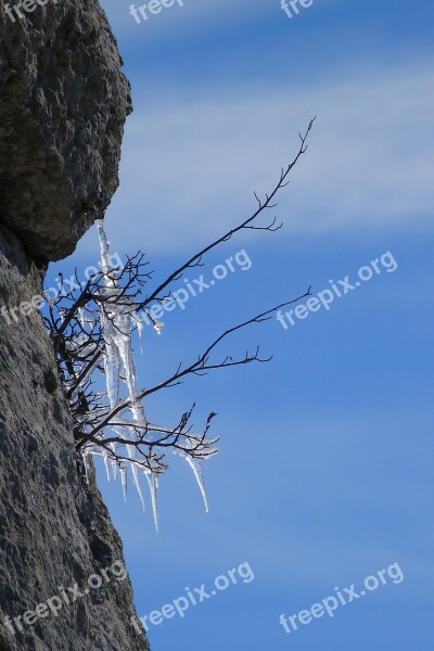 Ice Training Winter Cold Nature