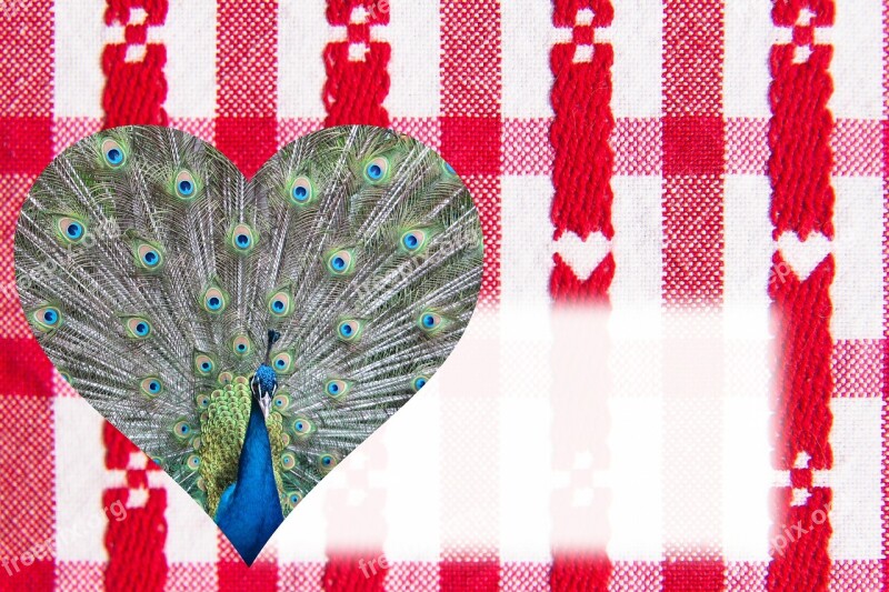 Valentine Heart Peacock Feather Luck