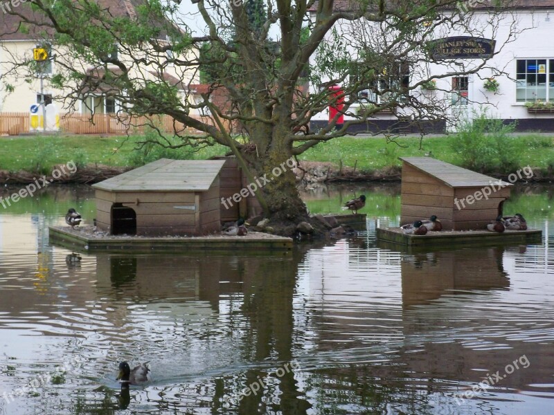 Duck Pond Country Village Water