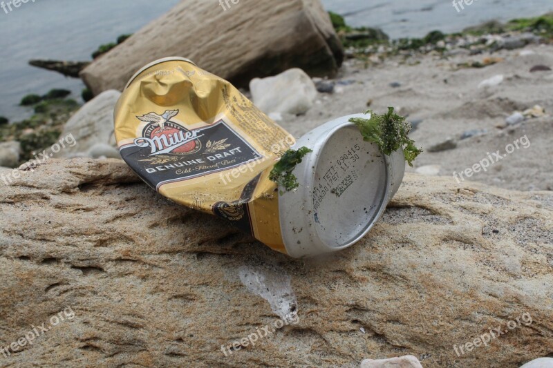 Beer Can Marine Waste Moss Free Photos