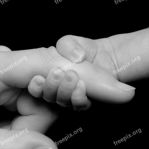 Newborn Hands Holding Baby Finger