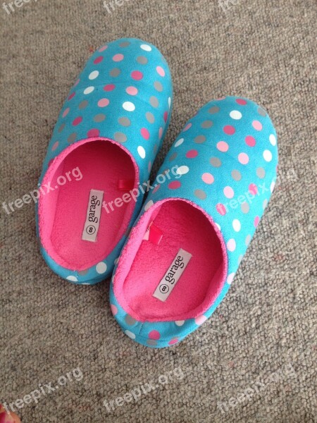 Slippers Shoes Pair Footwear Free Photos