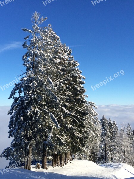 Winter Mountain Steibis Snow Free Photos