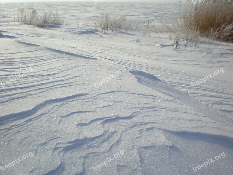 Winter Wintry Shore Edge Traces Wind