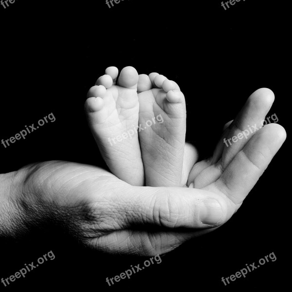 Feet Newborn Parent Hold Free Photos