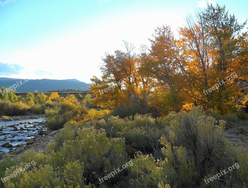 Season Fall Color Scenery Landscape Nature