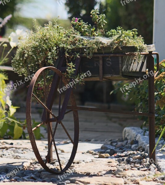 Plant Holder Green Rusty Summer Table