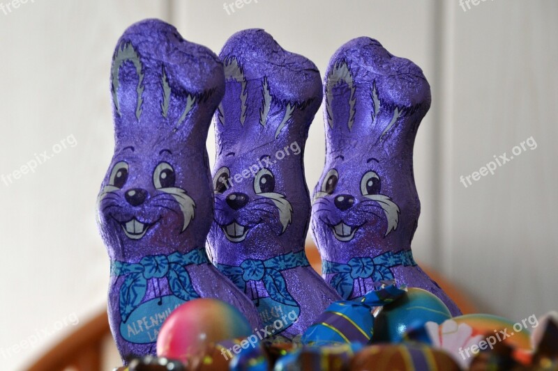 Easter Easter Bunny Chocolate Purple Candy