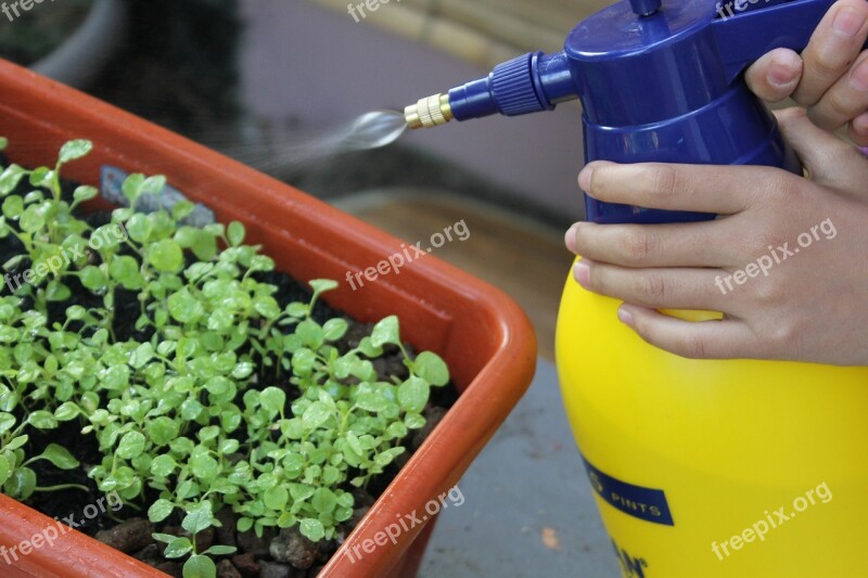 Watering Spray Gardening Plant Free Photos