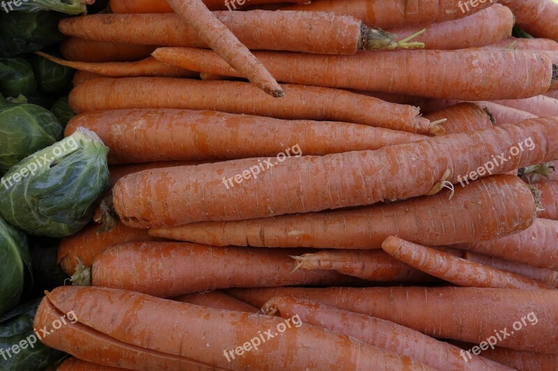 Carrot Food Fresh Healthy Vegetables