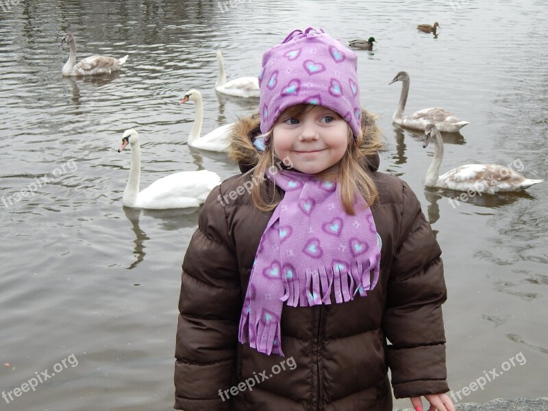 Pleasure Swans Feeding Baby Girl Adelka