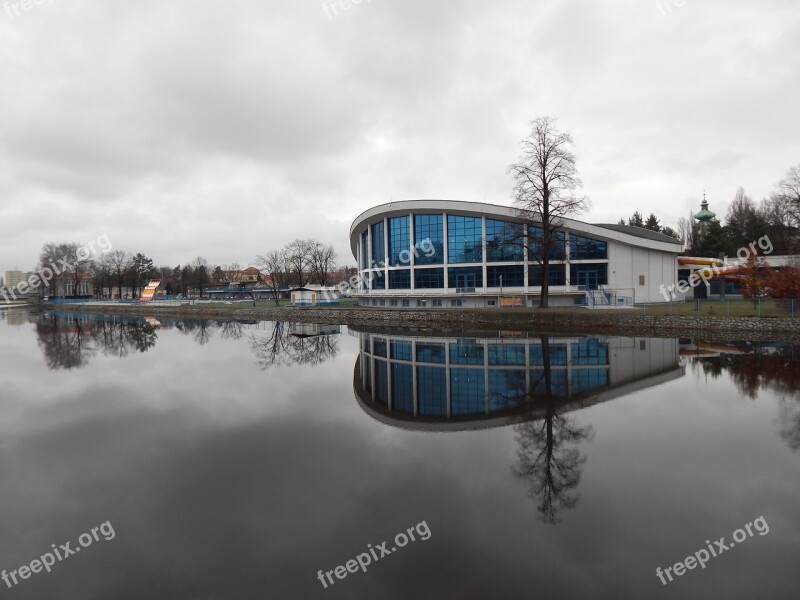 Swimming Bath River Swimming Pool Water Trees