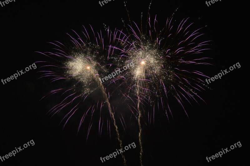 Fireworks New Year Day Night Celebrate Purple