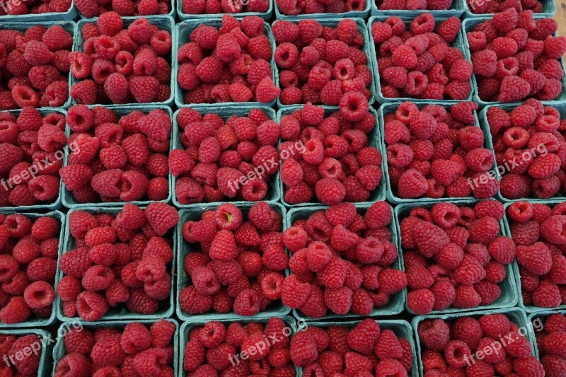 Raspberry Food Berry Fruit Fresh