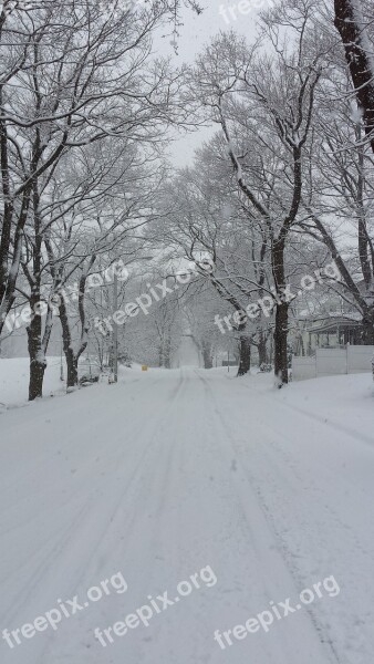 Winter In New England Snow Covered Trees Massachusetts Peaceful Season