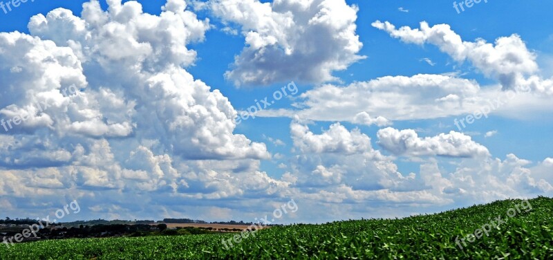 Sky Cloud Soybeans Plantation Road