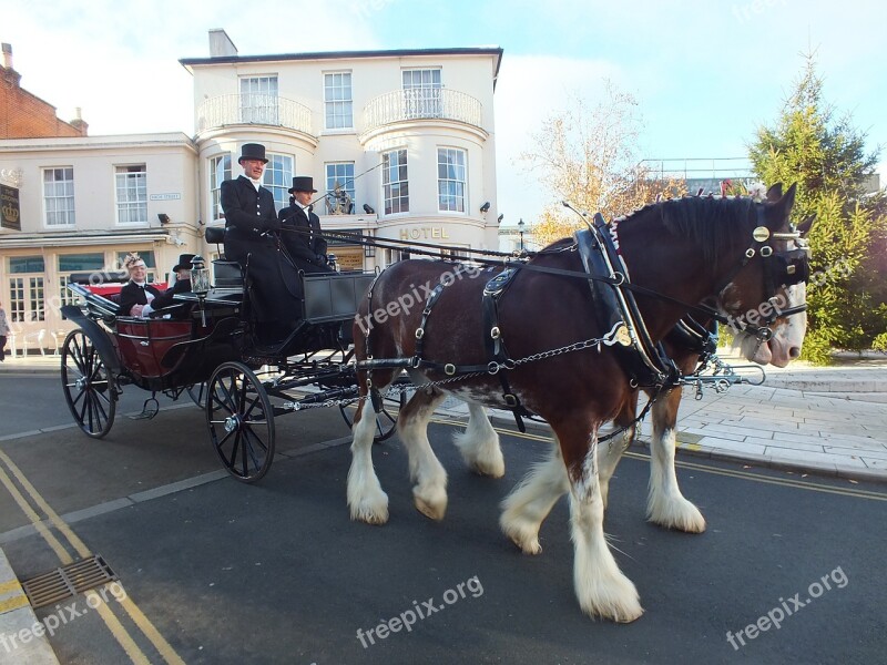 Horse And Carriage Dray Carriage Shire Horses Horses