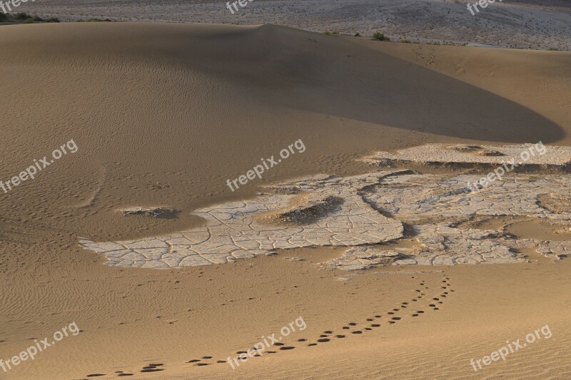 Death Valley Desert Sand Dune Footprint