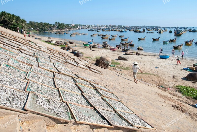 Mekong River Vietnam Fish Sea Fisherman