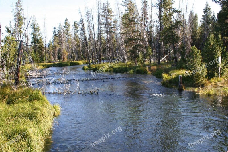 Stream Creek River Free Photos