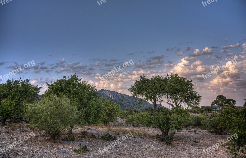 Caimari Mallorca Nature Spain Summer