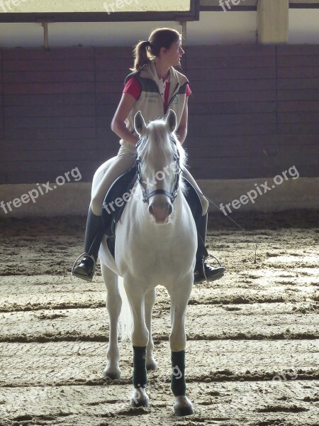 Horse Rider Horseback Equestrian Dressage