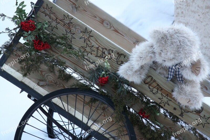 Teddy Bear Outdoor Decoration Winter Alps Snow