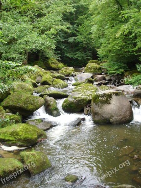 Bach Stones Watercourse Mountain Stream Forest