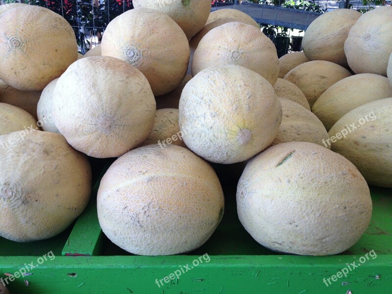 Melon Cantaloupe Fresh Fruit Pile