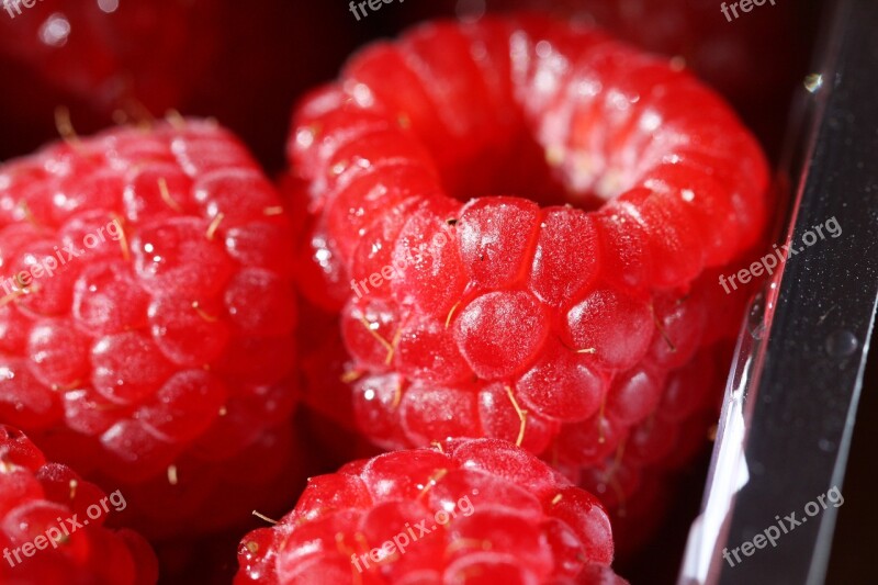 Raspberry Macro Vitamin Bio Summer