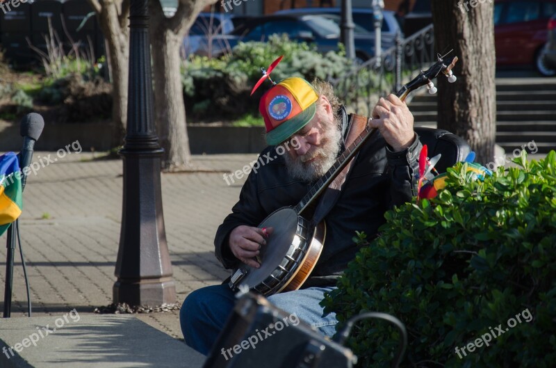 Old Banjo Color Free Photos