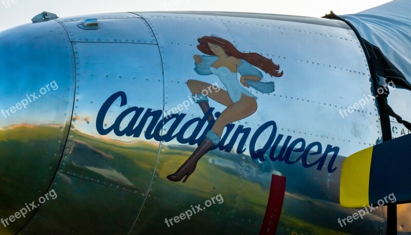 Wwii Nose Art Aircraft Germany America