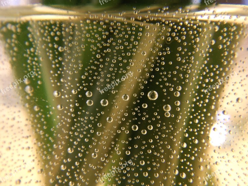 Bubbles Water Green Stems Free Photos