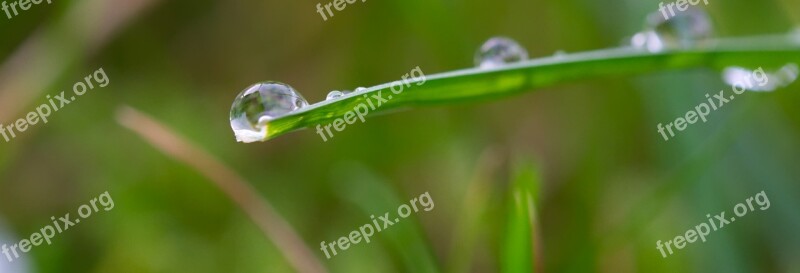 Water Drip Wet Drop Of Water Liquid