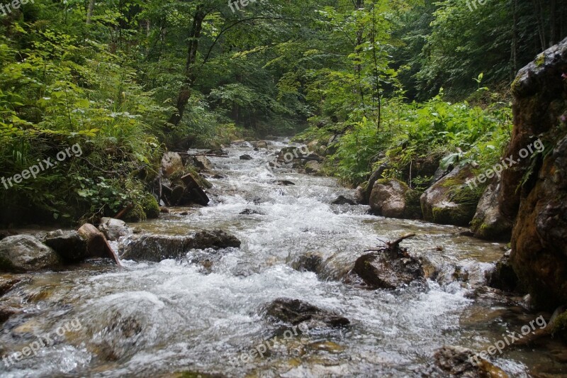 Alps Austria Defile Dr Vogelgesang Klamm,