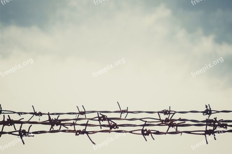 Sky Barbed Wire Fence Blue Nature