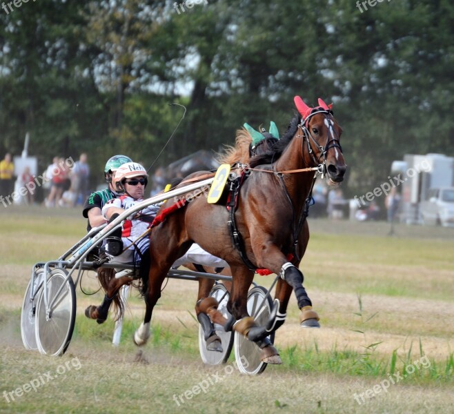 Trotting Sulky Equestrian Racing Traber