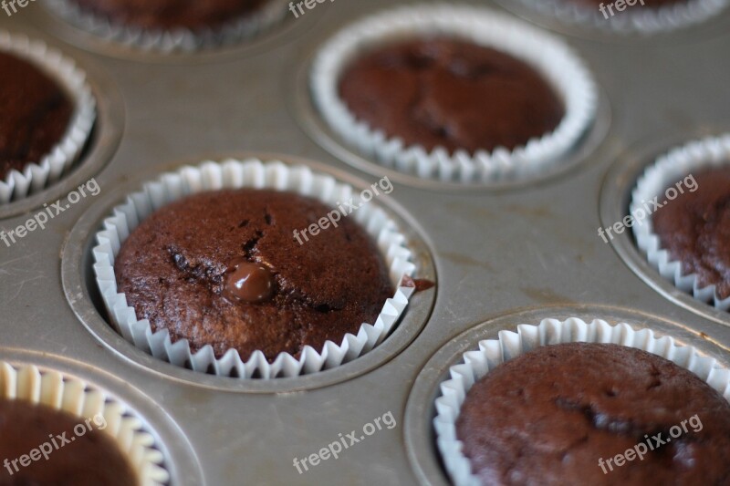 Baking Cupcake Chocolate Food Sweet