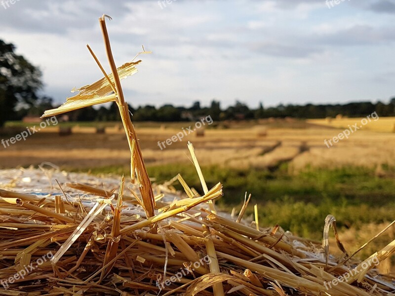 Straw Landscape Harvest Summer Agriculture