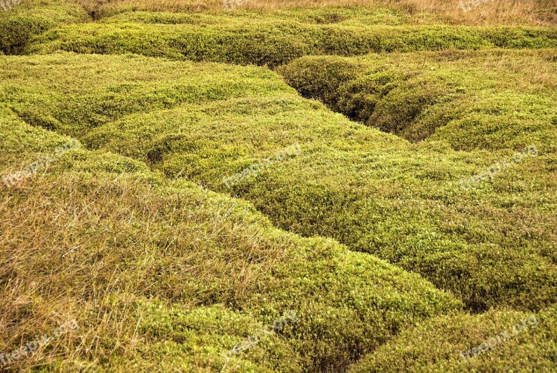 Landscape Coastal Nature Salt Marsh Free Photos