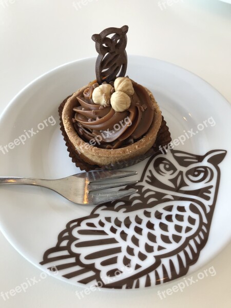 Owl Cake Pastry Delicious Confectionery