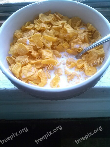 Cereal Bowl Breakfast Food Grain